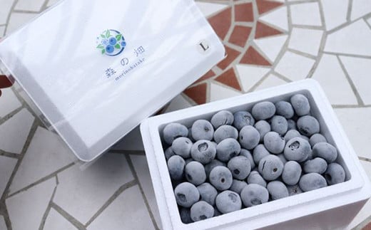 ※画像はイメージです。