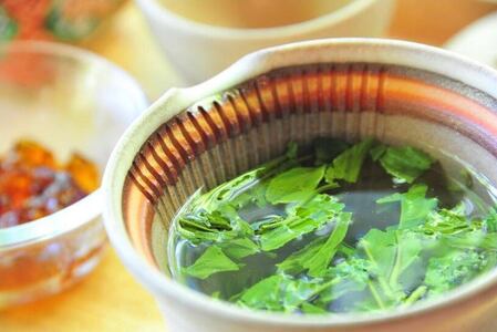 シングルオリジン手摘みのお茶 中井侍銘茶1袋(45g)