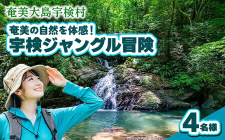 宇検ジャングル冒険 4名様 奄美大島 宇検村 鹿児島県 旅行 自然 冒険 完全プライベート