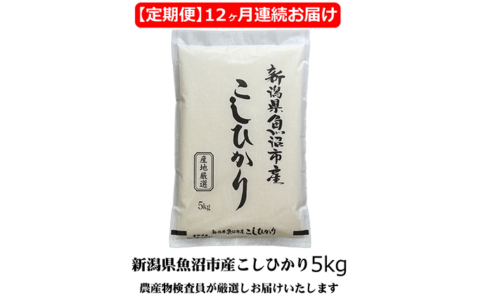 農産物検査員お奨め 魚沼産 こしひかり 精米 5kg 12ヶ月 連続お届け （ 米 定期便 コシヒカリ お米 定期 新潟 魚沼 魚沼産コシヒカリ 魚沼産こしひかり こめ コメ おこめ 白米 お楽しみ 12回 ）