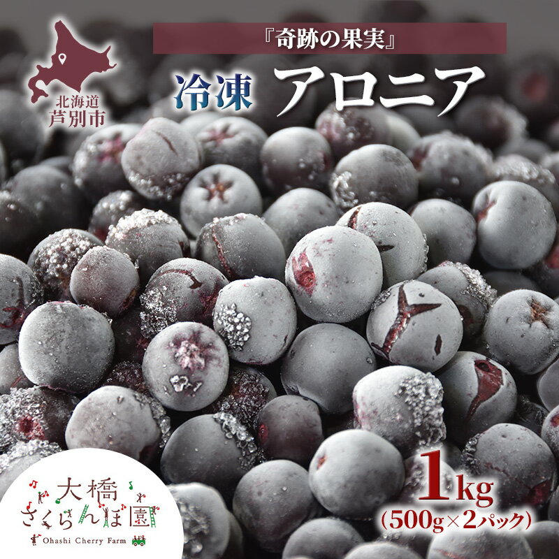 【ふるさと納税】アロニア 500g × 2パック 1kg 冷凍 果物 くだもの フルーツ 旬の果物 旬のフルーツ 大橋さくらんぼ園 果物類 フルーツ デザート 完熟 急速冷凍 新鮮 美味しい 人気 冷凍配送 北海道 芦別市