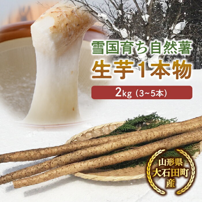 【ふるさと納税】山形県産 雪国育ち自然薯 生芋1本物 2kg（3～5本） F2Y-5114