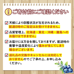 【2週間発送】 果肉ごろごろ ブルーベリージャム (120g×5個) ゲル化剤を不使用の手作りジャム！冷蔵便 四国 徳島 小松島 【送料無料】｜ゲル化剤 ( ペクチン ) 不使用 | ブルーベリー ジ