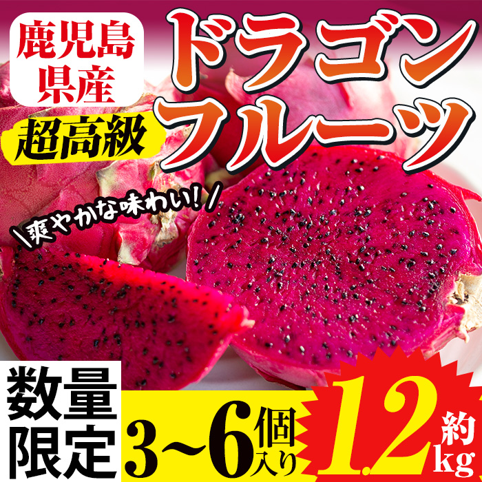 No.248 《数量・期間限定》鹿児島県産！ドラゴンフルーツ(1.2kg・3個～6個) 国産 鹿児島 日置市 デザート 果物 フルーツ 栽培期間中 農薬不使用 贈り物 贈答品【はまうえ果樹園】