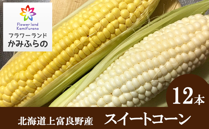 旬をお届け！かみふらの野菜定期便コース（年5回）