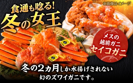 【先行予約/11月7日より順次発送】セイコガニ  越前ガニメス（ セイコガニ ）小サイズ20杯 / 越前ガニ コッペガニ セイコガニ カニ メス せいこ蟹 小浜市 / まるほ商店 【配送不可地域：北海