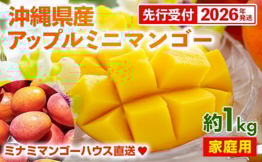 
            【先行受付】【2026年発送】ミナミマンゴーハウスのアップル ミニマンゴー約1kg【家庭用】- 先行予約 沖縄県産 産地直送 南国フルーツ 旬の味覚 アップルマンゴー ご自宅用 オススメ 沖縄県 八重瀬町
          