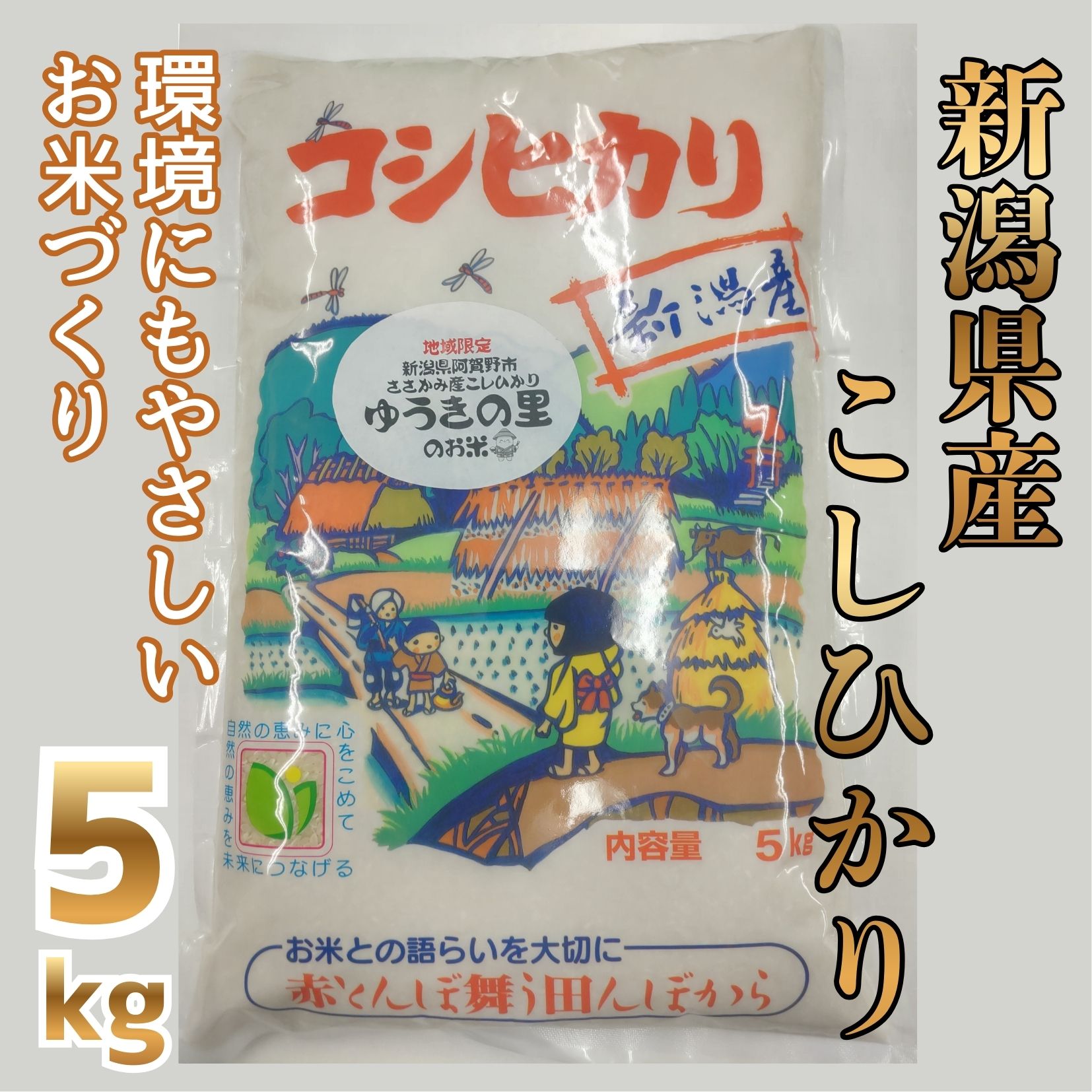 【ふるさと納税】【令和8年産新米予約】 阿賀野市 ささかみ産 こしひかり 「ゆうきの里のお米」 5kg 新潟コンバイン 白米 精米 新潟県 コシヒカリ コシ 米 お米 ごはん ご飯 新米 新米予約 令和8年度産 10月上旬より順次発送予定