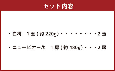 詰合 白桃 2玉 （1玉220g以上）・ニューピオーネ 2房 （1房480g以上） 化粧箱入り 【2026年7月下旬～8月上旬迄発送予定】 果物 くだもの フルーツ 桃 もも モモ ぶどう ブドウ 葡