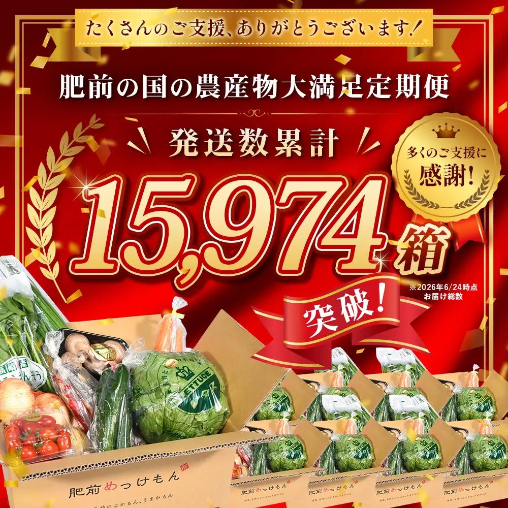  肥前の国の農産物大満足セット 【 野菜 卵 米 果物 新鮮 セット 詰め合わせ 産地直送 肥前 】B-306