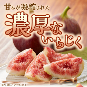 【期間限定】甘味凝縮 いちじく 750g×1【2500C08201】