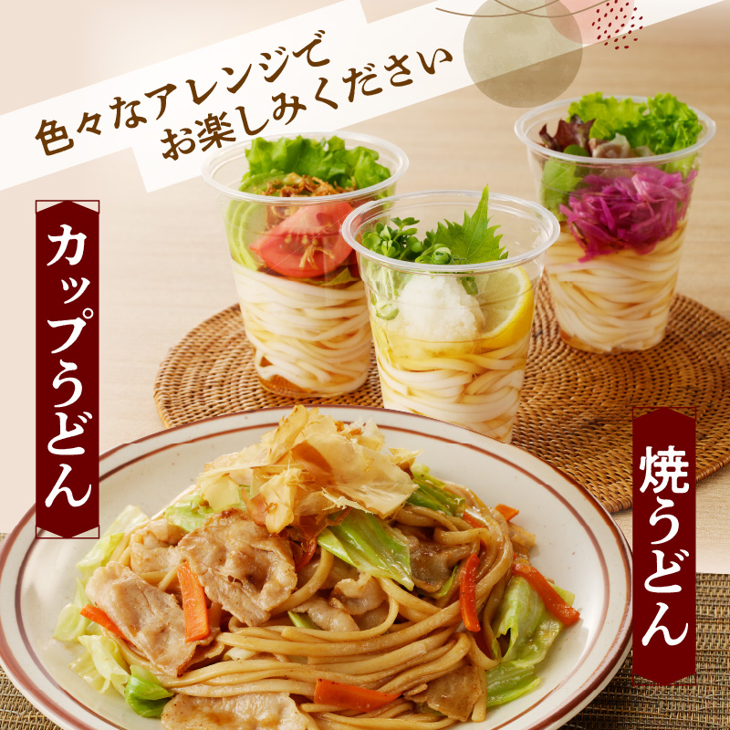 【乾麺】碧海の恵み うどん 愛知県産 徳用セット3.75kg(250g×15袋)　H008-225