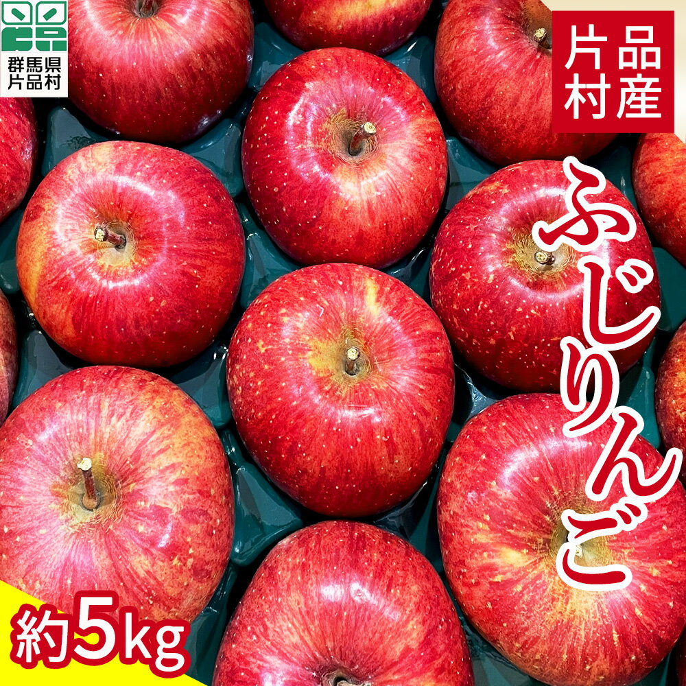 【ふるさと納税】尾瀬の郷 片品村産 ふじりんご 約5kg リンゴ 林檎 ふじ