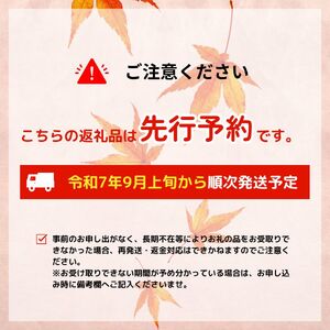 【先行予約】 モンブラン 弁当 2個 栗 お重 モンブラン おすすめモンブラン おいしいモンブラン sinyanagi002