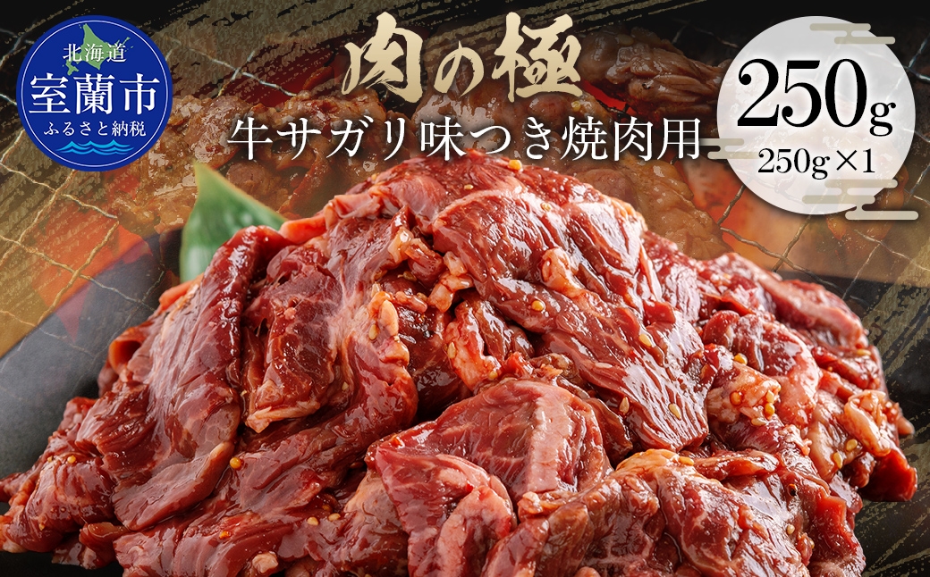 
                  牛サガリ味つき焼肉用 250g (250g×1) 【ふるさと納税 人気 おすすめ ランキング 肉 牛肉 牛サガリ 牛 にく ニク 味付き 焼肉 バーベキュー BBQ 北海道 室蘭市 送料無料】 MROBM020
                