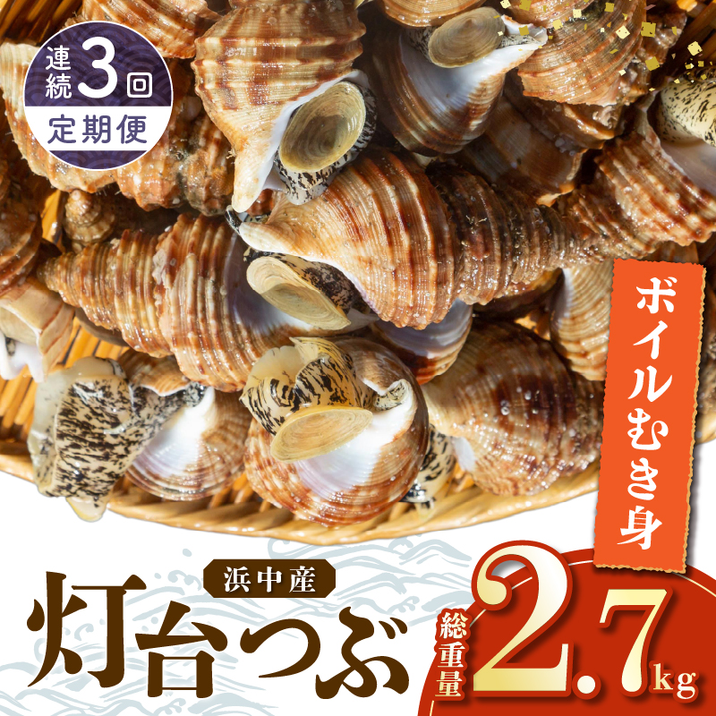 ＜全3回・連続＞灯台つぶ定期便【総重量2.7kg】_H0023-006