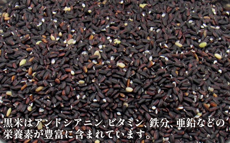 古代米セット 黒米・赤米・緑米 計1.5kg (500g×3種) 《壱岐市》【天下御免】 雑穀米 玄米 米 栄養 白米に混ぜる [JDB406]
