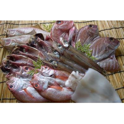 ふるさと納税 境港市 こだわりの一夜干詰合せ(4-5種類)