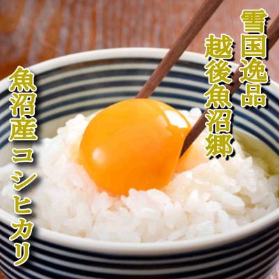 ふるさと納税 魚沼市 雪国逸品 《無洗米》3kg　越後魚沼郷 魚沼産コシヒカリ(1kg×3袋) |  | 01