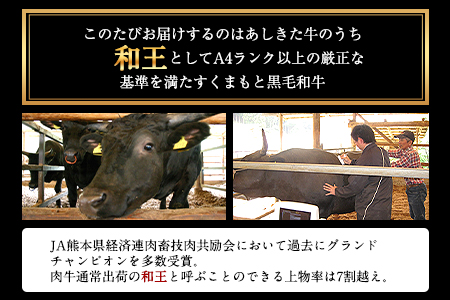 くまもと黒毛和牛 あしきた牛すきやき 熊本県産《60日以内に出荷予定(土日祝除く)》熊本県 葦北郡 津奈木町 あしきた農業協同組合 JAあしきた あしきた牛 和王 黒毛和牛 肉