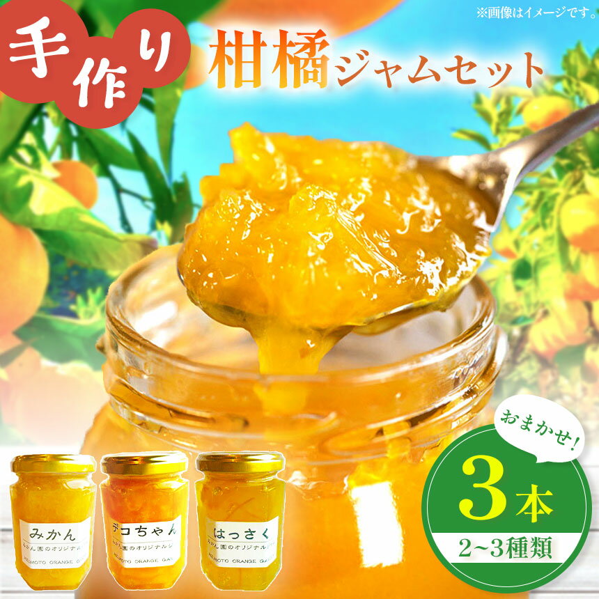 【ふるさと納税】 柑橘 ジャム おまかせ 3本 セット 水本オレンジガーデン | ジャム 果物 くだもの フルーツ 柑橘 かんきつ デコポン でこぽん ミカン みかん はっさく 八朔 甘夏 詰め合わせ パン 朝食 果肉 加工食品 熊本県 玉名市