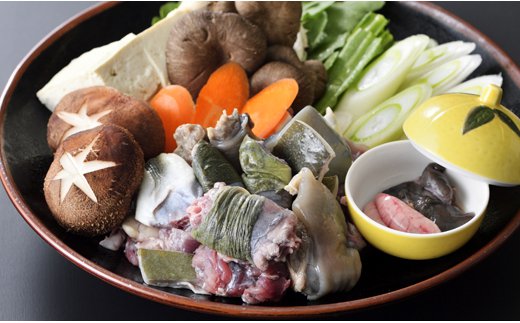 【ブランドゆずすっぽん】骨付きすっぽん肉　600g（300g×2）<2.4-1>鼈 スッポン 龜 魚介類 肉 骨付き肉 宮崎県西都市