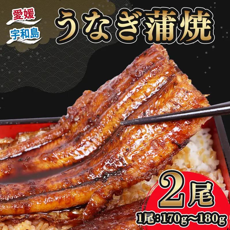 【 うなぎの蒲焼き 】 うなぎの蒲焼き 170g～180g×2 河野鮮魚店 D024-177003