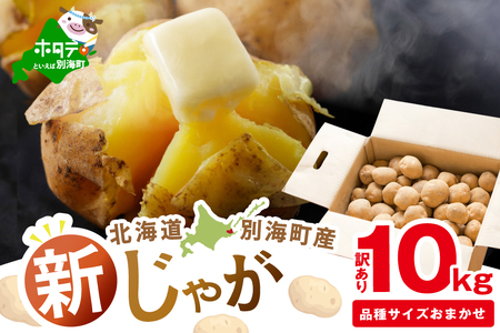 2025年10～12月発送 北海道別海町産 じゃがいも10kg (１種おまかせ)  (きたあかり、ワセシロ、男爵、メークイーン、レッドムーン）