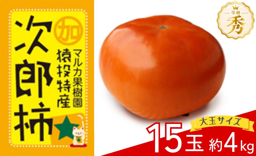 
                  2026＜先行受付＞【大玉】次郎柿 約4kg(15玉)【2026年11月上旬以降順次発送】| 柿 果物 先行販売 先行受付 秋の果物 フルーツ 次郎柿 じろうかき かき 大玉 マルカ果樹園 愛知県 豊田市
                