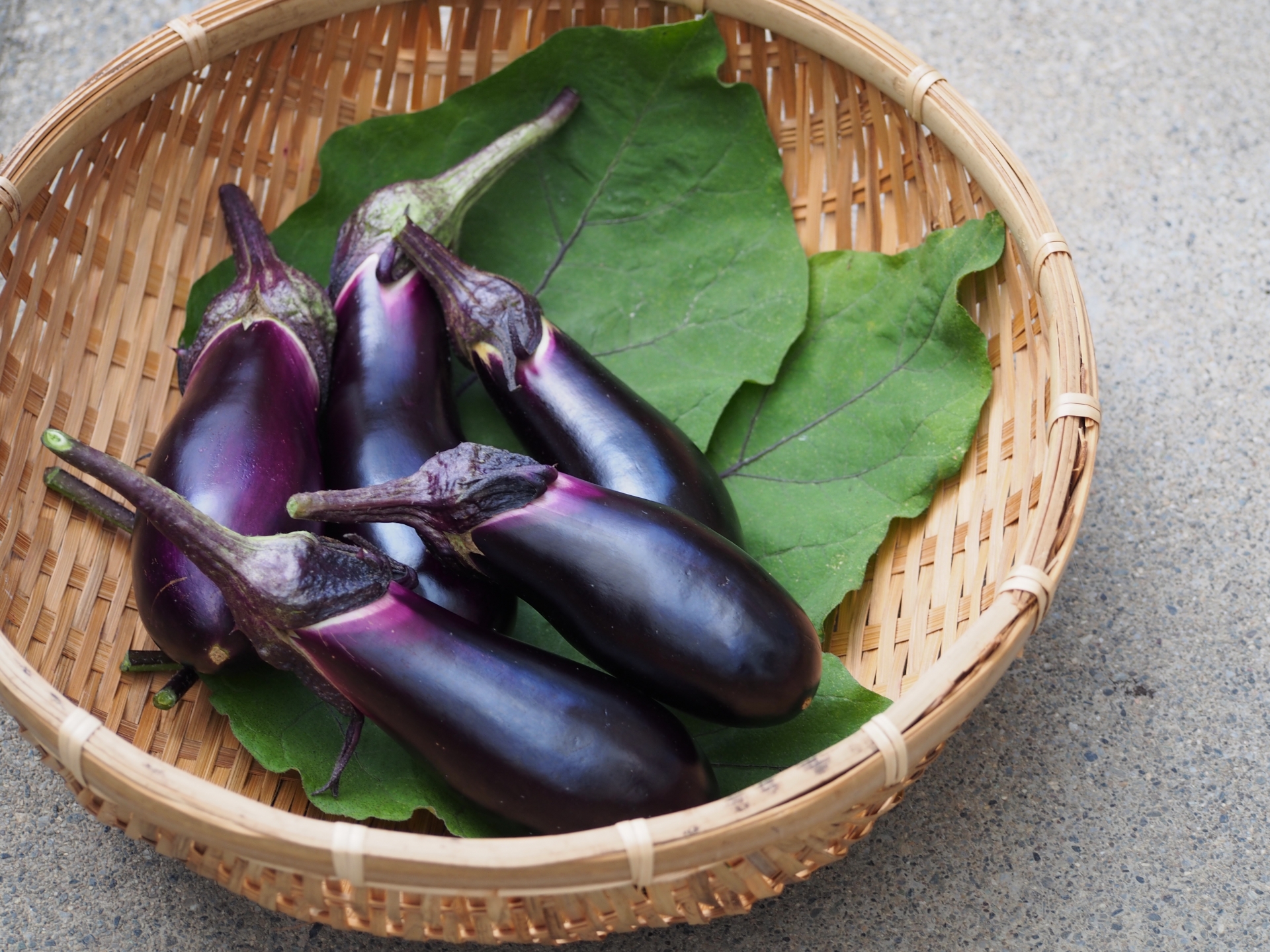 【先行予約】 令和8年産 米沢牛 焼肉 夏野菜 ご当地食材 セット 米沢牛 ロース カルビ トウモロコシ ピーマン 長茄子 焼肉のたれ 辛みそ 2026年8月上旬～下旬頃 お届け予定