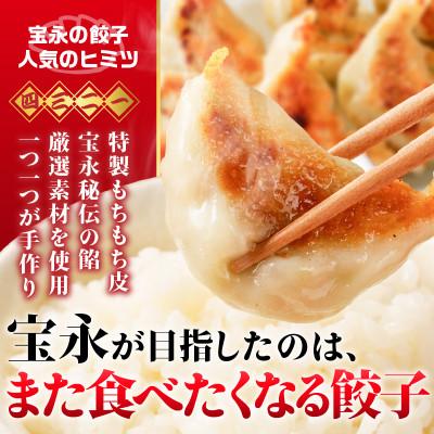 ふるさと納税 苫小牧市 ぎょうざの宝永　宝永餃子10個入セット(宝永餃子10個入×4袋)合計1.0kg |  | 02