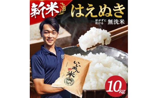 【令和8年産】[無洗米]はえぬき　10kg(5kg×2袋) 農家直送『いいあん米』 AG SB1038