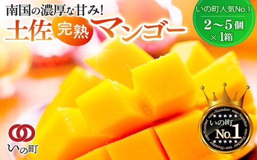 かおる・とろける！土佐マンゴー(2～5個)×１箱