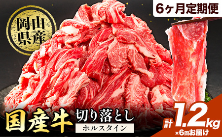 【6ヶ月定期便】牛肉 肉 国産牛 切り落とし ホルスタイン 大容量 小分け 1.2kg(300g×4)《お申込み月の翌月から出荷開始》牛肉 岡山県産 岡山県 矢掛市 お肉 にく カレー 牛丼 牛肉
