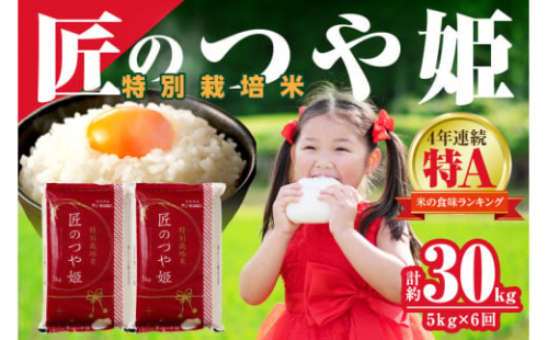 【令和7年産】【定期便】特別栽培米「匠のつや姫」 5kg×6回コース＜7月上旬より配送＞ 定期便 米 コメ 令和7年産 5キロ 島根 県産 新米 精米 玄米 お米 精米 白米 ごはん ご飯 新生活 準備 【058_1860】
