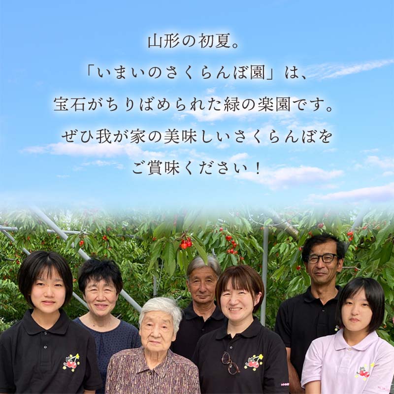 【令和9年産先行予約】こだわりのさくらんぼ「紅秀峰」(Lサイズ以上)　バラ詰め 500g いまいのさくらんぼ園 K-935 Lサイズ 500g