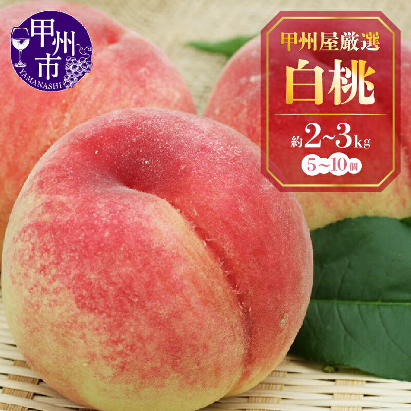 【ふるさと納税】 桃 白桃 選べる内容量 約2kg 約3kg 5～10玉 朝採り 白鳳 浅間 なつっこ 2025年発送 もも フルーツ 果実 果物 新鮮 厳選 数量限定 期間限定 ギフトボックス 贈答 ギフト 家庭用 7月 8月 9月 発送 山梨県 甲州市 甲州屋
