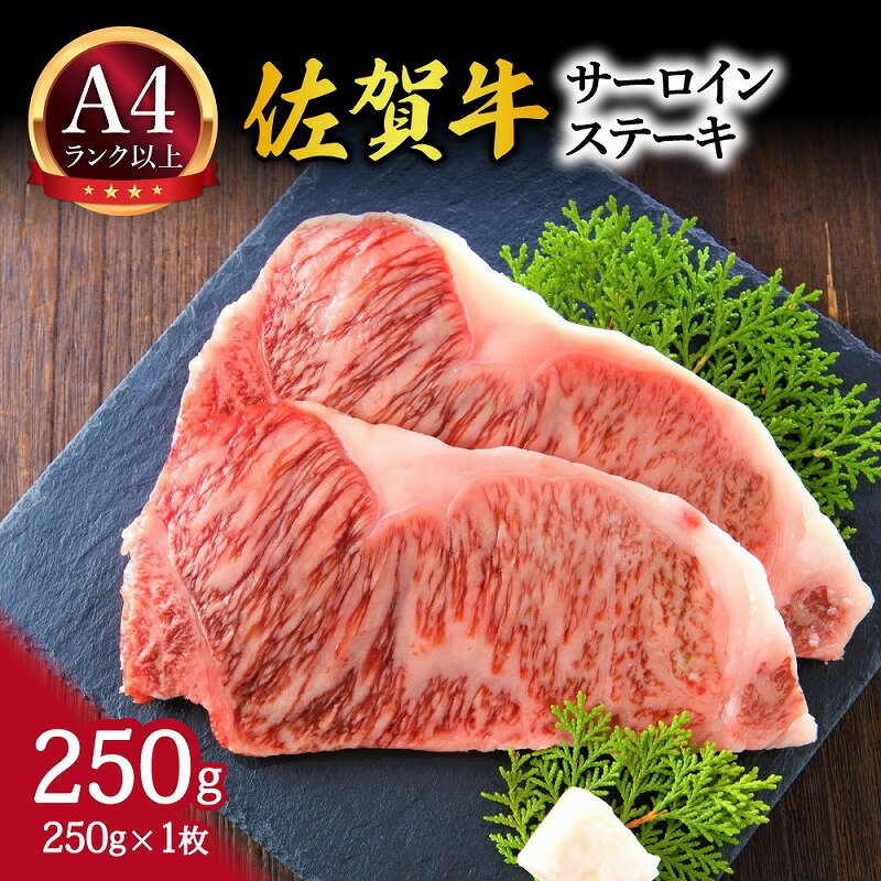 【ふるさと納税】【 佐賀牛 】 艶さし！ サーロイン ステーキ　250g（250g×1枚） J1028