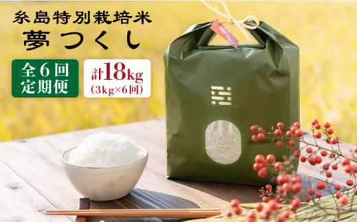 【令和7年産】【 6回 定期便 】 とくべつ の中の とくべつ 糸島 特別栽培米 3kg （ 夢つくし ）《 糸島 》【株式会社やました】 [ARJ004]