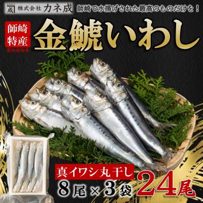 ふるさと納税 南知多町 いわし丸干し 24尾(8尾×3パック) 冷凍 小分け カネ成の金鯱いわし 干物