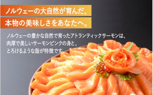 【最速発送】 アトランティックサーモン 450g