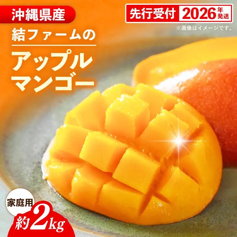 【先行受付】【2026年発送】結ファーム 家庭用 アップルマンゴー 約2kg （4～8玉）- ご自宅用 先行予約 沖縄県産 産地直送 南国フルーツ 旬の味覚 オススメ 沖縄県 八重瀬町