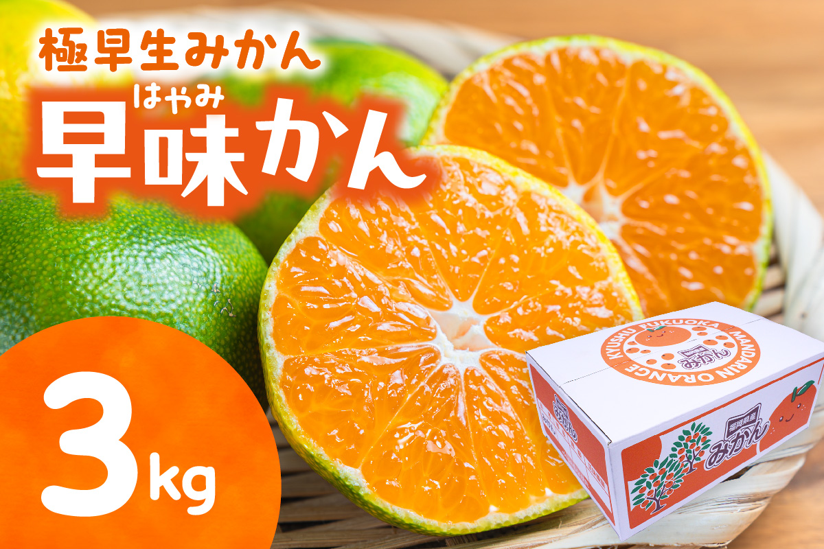 福岡県ブランド 極早生みかん「早味かん」3kg【JAほたるの里】_HA0886