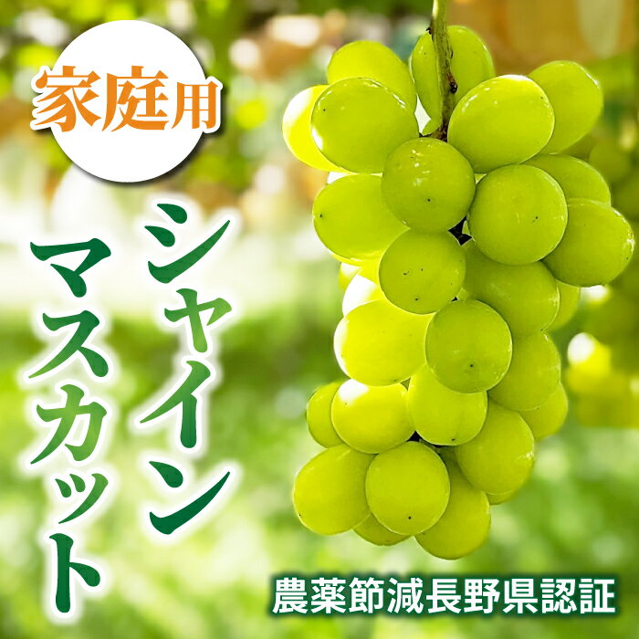 【ふるさと納税】【先行受付2025年発送】家庭用シャインマスカット　農薬節減長野県認証｜東御こもだ果樹園　※2025年9月下旬～10月下旬に発送予定