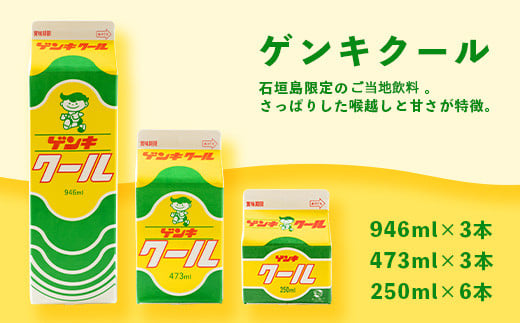【ふるさと納税限定】八重山ゲンキ乳業 全種バリューセット【八重山ゲンキ乳業】【ゲンキ牛乳】【石垣島のソウルドリンク ゲンキクール】【ゲンキカフェ】【さんぴん茶ミルクティー】GN-4 通常便