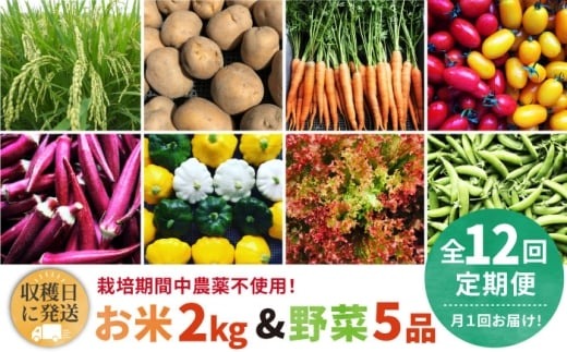 【全12回定期便】【☆畑直送☆栽培期間中農薬不使用！】お 米 2kg & 野菜 5品 の セット 糸島市 / オーガニックナガミツファーム 	[AGE038]