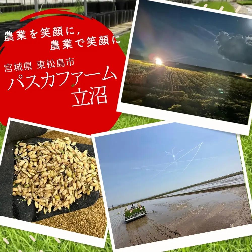 【令和8年産】【新米】【令和8年10月中旬～下旬順次発送】 ひとめぼれ 精米 10kg E｜ひとめぼれE