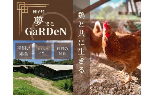 種子島 平飼い 産み立て たまご 夢まるガーデン 鶏卵 ×120個　NFN370【1000pt】 玉子 鶏卵 卵 産み立て 鶏 こだわり 発酵飼料 安納いも 安納芋 安全 新鮮 オリジナルレシピ