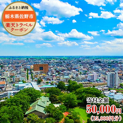 【ふるさと納税】栃木県佐野市の対象施設で使える楽天トラベルクーポン寄付額50,000円