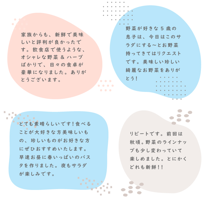 【定期便】彩り野菜と香るハーブセット　6回お届け　野菜